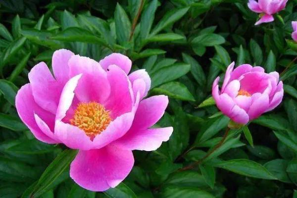 12星座女卖男友价格公布不还价!! 12星座女卖男友价格公布不还价!!