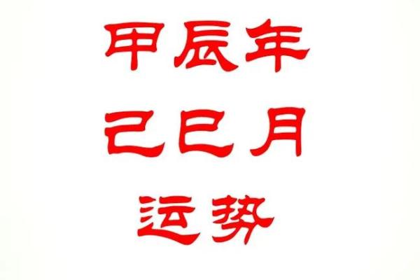 八字己巳日