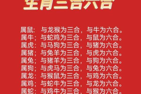 八字算命生肖六合是什么意思