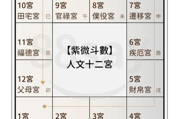 《紫微斗数》命盘解析可以运用哪些领域？