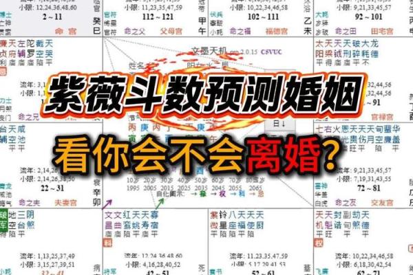 紫薇斗数测算婚姻运：幸运紫薇主星，超有婆婆缘