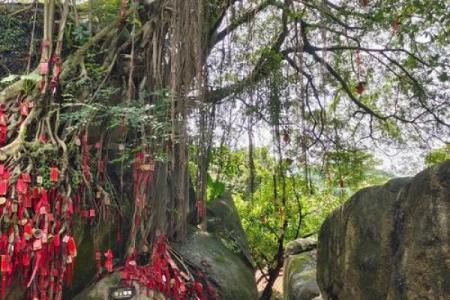 深圳凤凰山算命