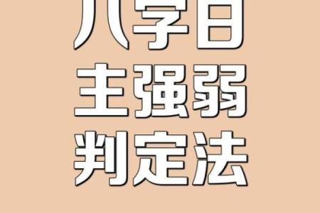 八字过弱什么意思