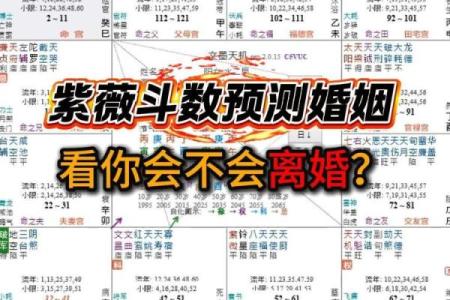 紫薇斗数测算婚姻运：幸运紫薇主星，超有婆婆缘