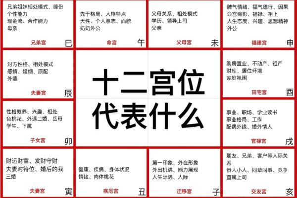 中洲派紫薇斗数 中洲派紫薇斗数