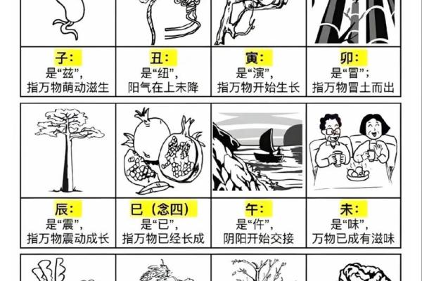 国学文化:简单的“天干地支”求年月日时八字 国学文化:简单的“天干地支”求年月日时八字