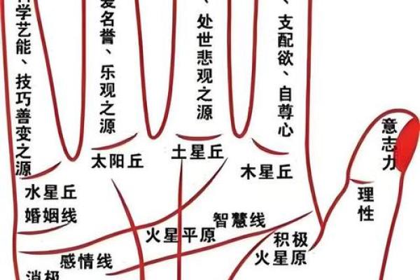 小指算命，小指的长度看你的性格和命运