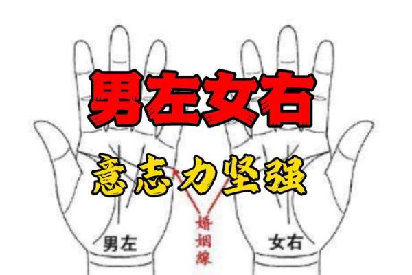 怎么看手相算命？只看男左女右对吗？