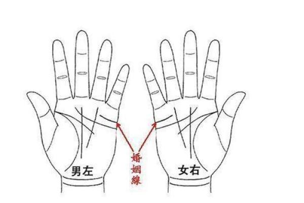 怎么看手相算命？只看男左女右对吗？