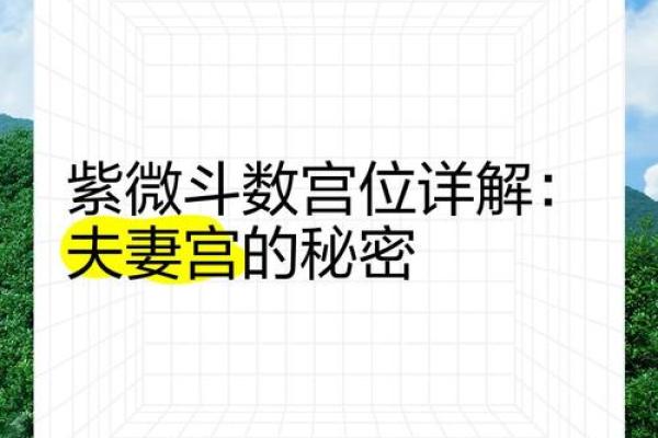 紫微斗数之夫妻宫与诸星,天同星在夫妻宫是什么意思？