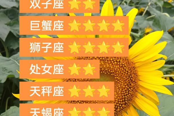 十二星座下旬运势 十二星座下旬运势