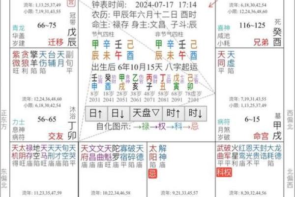 紫薇斗数用神详解 紫薇斗数用神详解
