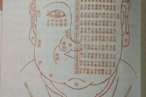 看相算命书