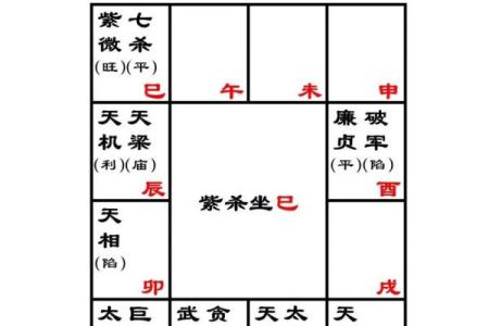 紫薇斗数七杀星