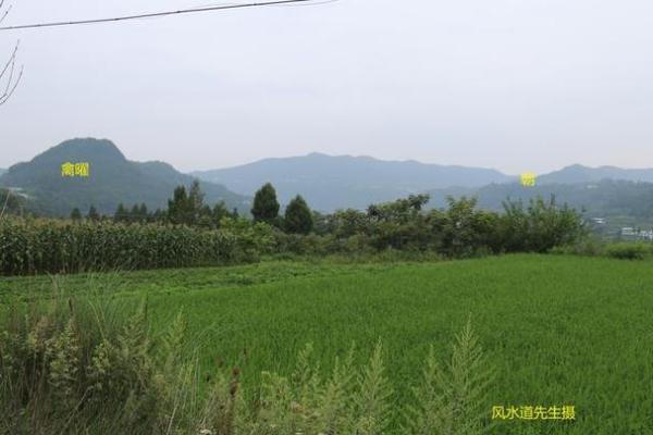 王健林祖坟风水图解 王健林祖坟风水图解