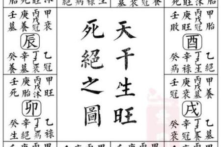 象法八字