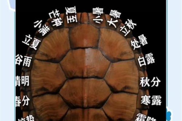 抽签算命占卜每日一占,六爻龟壳每日一卦 抽签算命占卜每日一占,六爻龟壳每日一卦