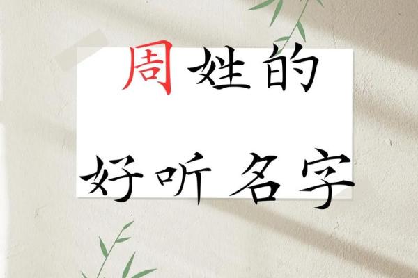 周姓女孩名字大全-周姓女孩起名字大全-周姓名字大全姓名