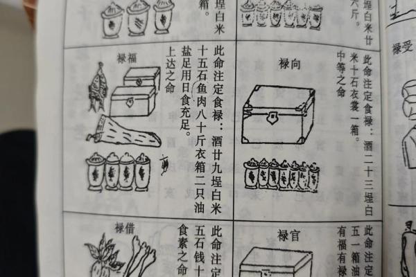 算命里衣禄是什么意思