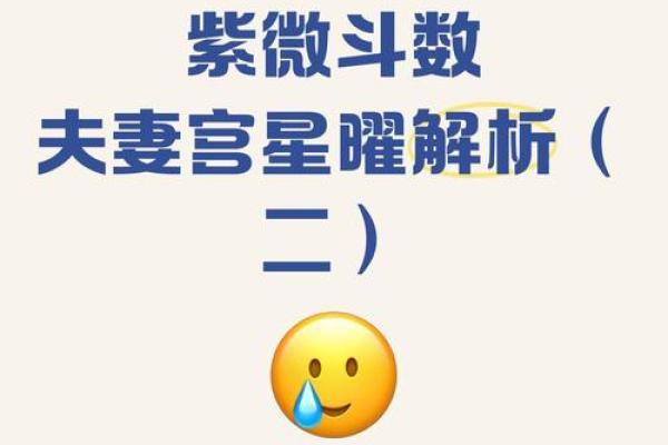 暗曜紫薇斗数 暗曜紫薇斗数