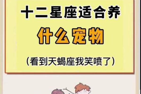 12星座比较适合养哪种动物