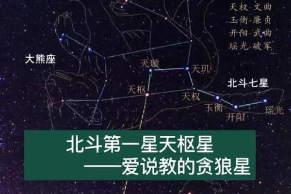 紫薇星贪狼星在福德宫
