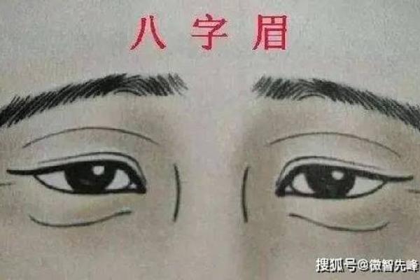 八字眉男人命运与性格特征解析