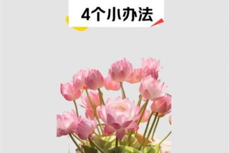 风水和财运：居家生活不利因素