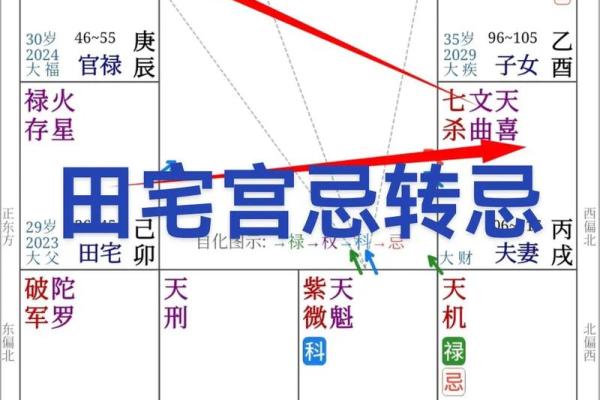 紫微斗数之田宅宫与诸星，天梁星在田宅宫是什么意思？