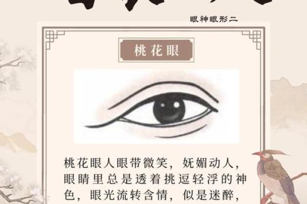 面相算命眼睛 面相算命眼睛