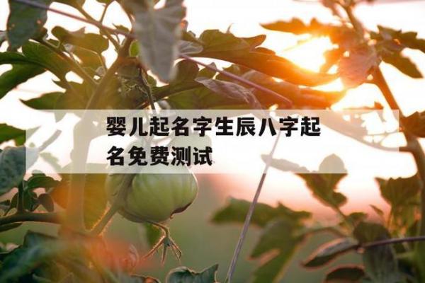 算命店还能怎么起名字 算命店还能怎么起名字