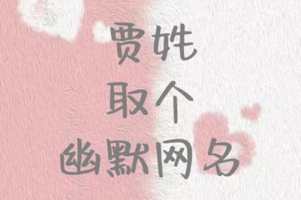 贾姓女孩名字大全-贾姓女孩起名字大全-贾姓名字大全姓名
