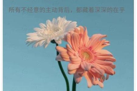 神准测试--现在这段感情中，谁付出的爱更多一些？