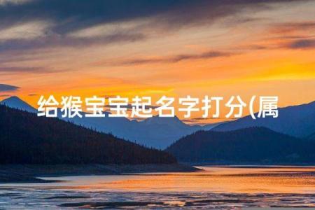 半夜出生的属猴男孩如何取名，适合什么字姓名