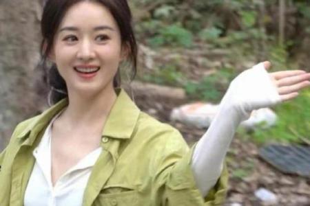 赵丽颖紫薇斗数