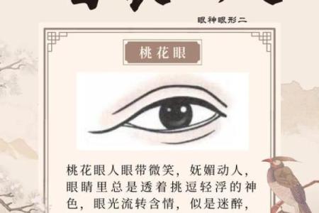 面相算命眼睛