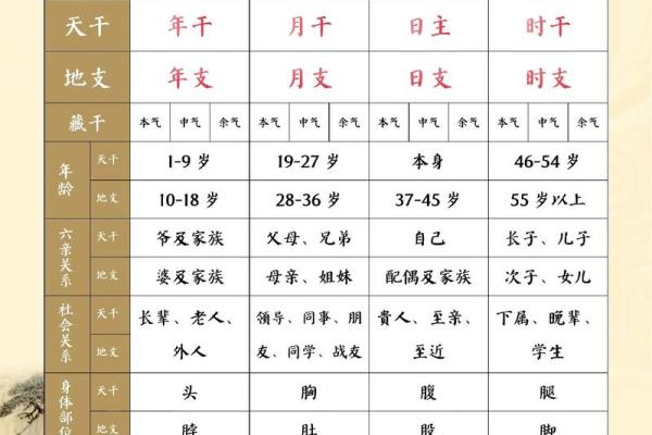 八字四库库 八字四库库