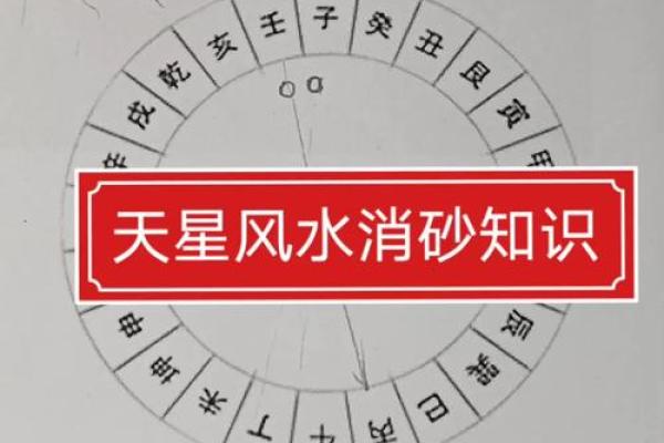 天星风水张子成风水 天星风水张子成风水