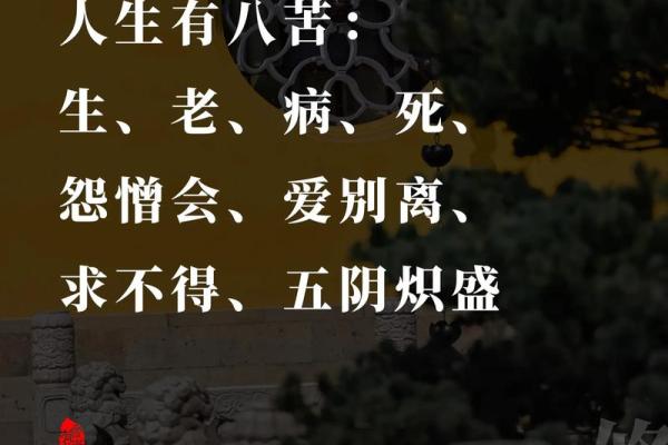 八字人生 八字人生