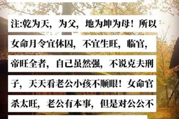 算命说有枭什么意思 命运如何