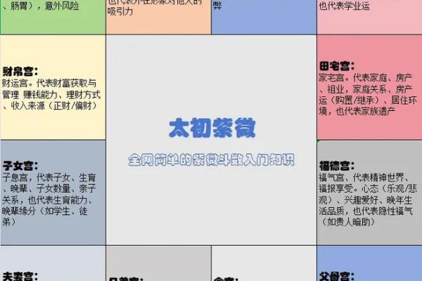 紫薇斗数怎么看相貌