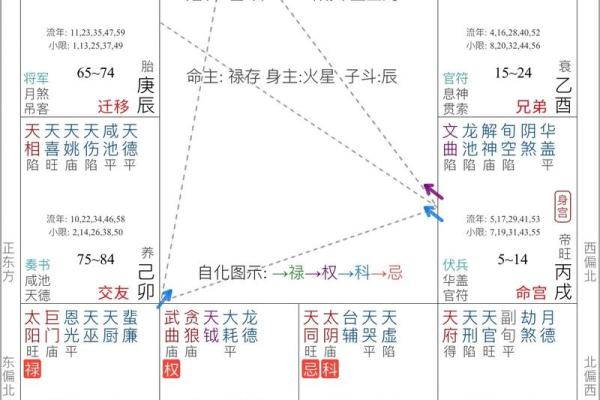 阿道夫紫薇斗数