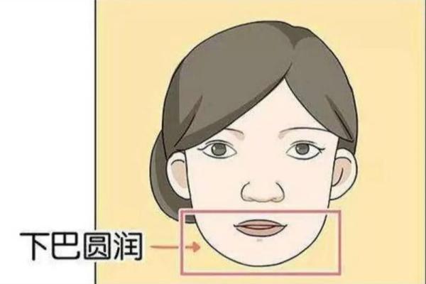 算命命中有几个子女 子女运跟下巴饱满有关