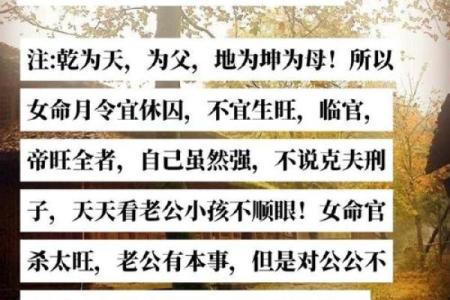算命说有枭什么意思 命运如何