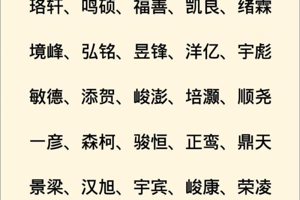 2019年3月25号巳时出生的男孩起名方法姓名
