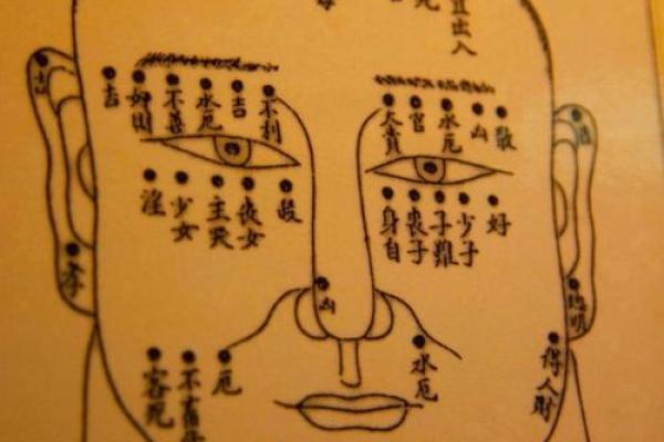 26种面型算命图解