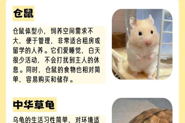 养宠物也是要讲究风水的