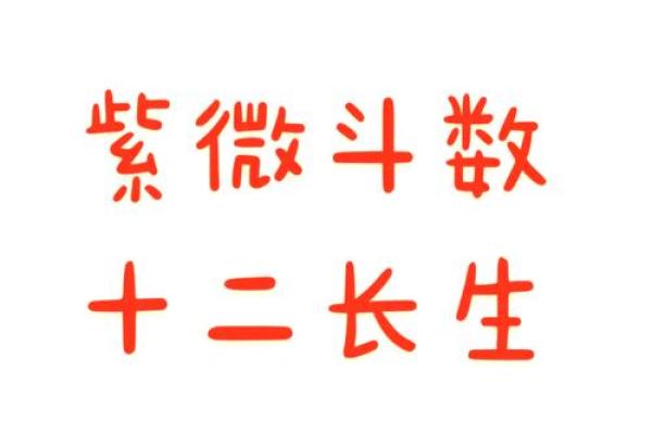 生男女紫薇斗数 生男女紫薇斗数