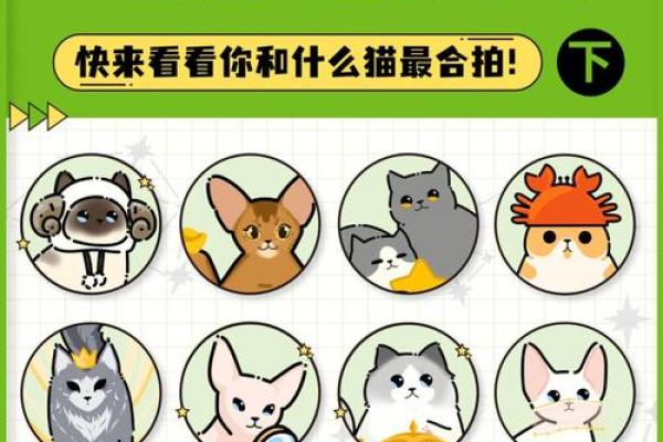 十二星座的猫咪它们有着怎样不同的性格和行为特点 十二星座的猫咪它们有着怎样不同的性格和行为特点