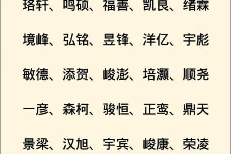 2019年3月25号巳时出生的男孩起名方法姓名